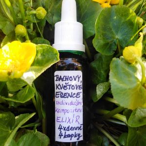 INDIVIDUÁLNÍ KOMPOZITNÍ ELIXÍR B.K.E. °TEST°KONZULTACE° 30 ml