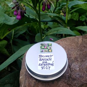 BYLINNÝ BALZÁM °NA KŘEČOVÉ ŽÍLY° 30 ml
