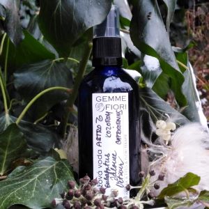 AROMATERAPEUTICKÁ RŮŽOVÁ VODA °ASTRO°CAPRICORNIUS°  ♑︎ 100 ml