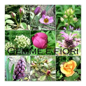 AROMATERAPEUTICKÝ OLEJOVÝ PARFÉM °ŽIVLY° OHEŇ 🜂 6 ml