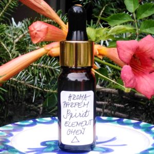 AROMATERAPEUTICKÝ OLEJOVÝ PARFÉM*SPIRIT °ŽIVLY° OHEŇ 🜂 10 ml