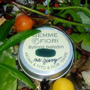 BYLINNÝ BALZÁM °NA JIZVY° 30 ml