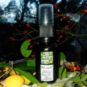 AROMATERAPEUTICKÝ BYLINNÝ OLEJ °NA JIZVY° 25 ml 